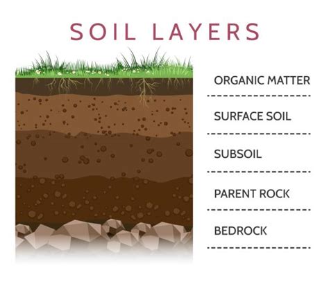 220+ Soil Layer Diagram Stock Illustrations, Royalty-Free Vector ...