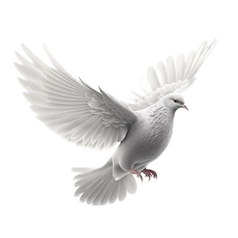 Peace Dove Flying Cartoon White Background Transparent, Dove Clipart ...