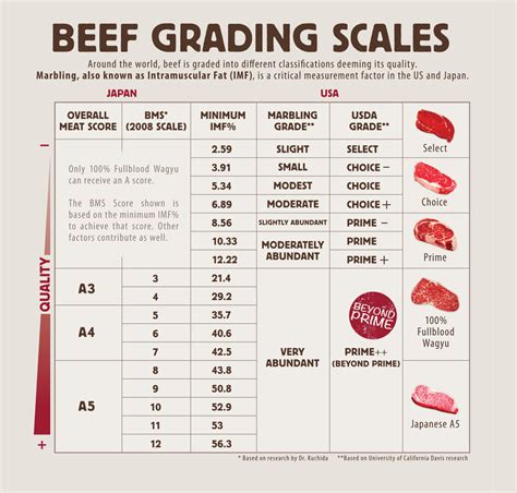 What is (Wagyu Beef) Marbling