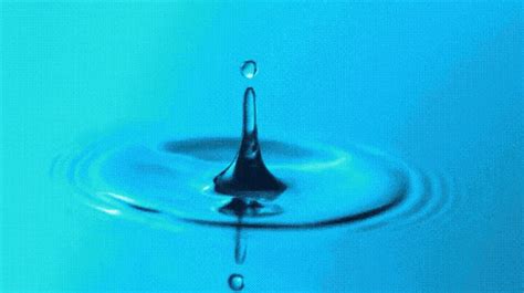 Animated Water Drop Gif