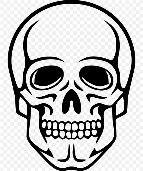 Human Skull Symbolism Human Skeleton Clip Art, PNG, 732x980px, Skull ...