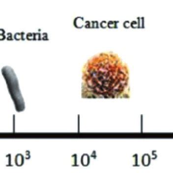 Imaging of nanoscale [4] | Download Scientific Diagram