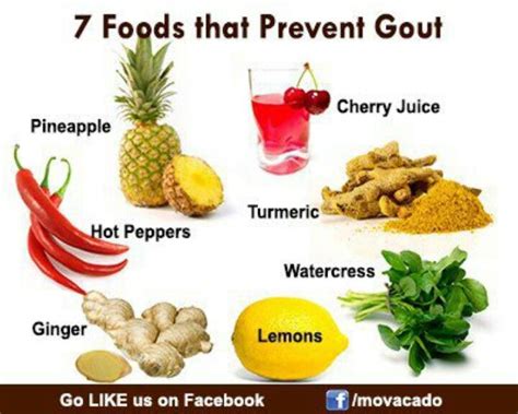 Gout Kidney Stones What Should My Diet Be - Marcus Reid