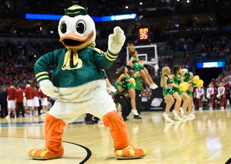 The Oregon Duck mascot lost an eye at the NCAA tournament | For ...