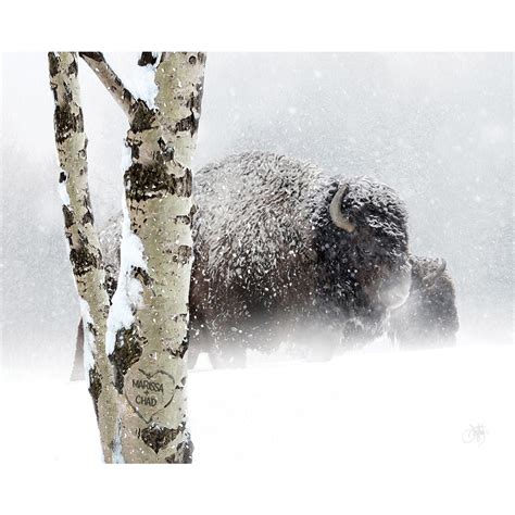 Snow Bison Personalized Wall Art | Black Forest Decor