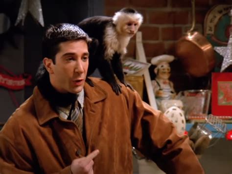 ¿Qué ha estado haciendo Marcel the Monkey desde Friends? | Independent ...