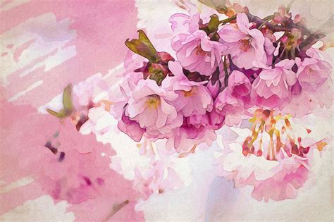 25+ Cherry Blossom Watercolor Inspirations to Dream About ...