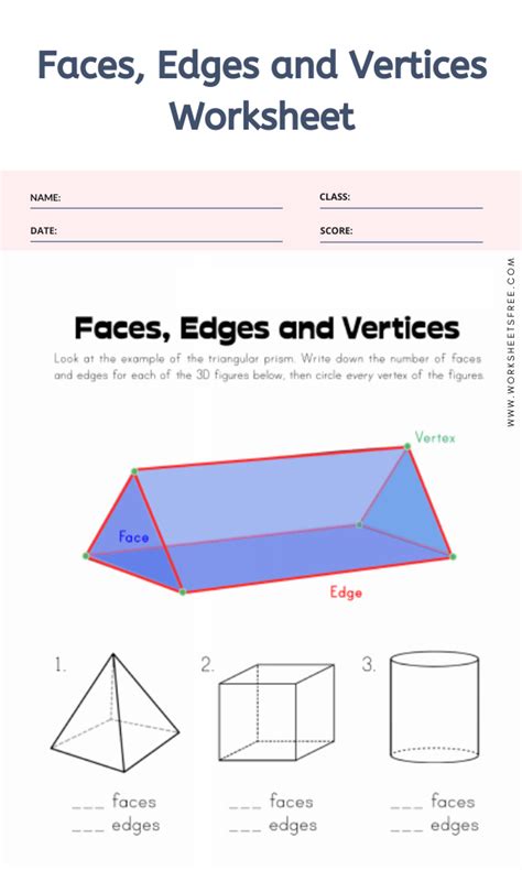 Faces, Edges and Vertices Worksheet | Worksheets Free