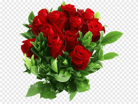 Rose Flower, bouquets of roses, flower Arranging, floribunda png | PNGEgg