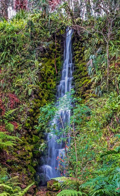 Friday Finds: Discovering Rainbow Springs State Park