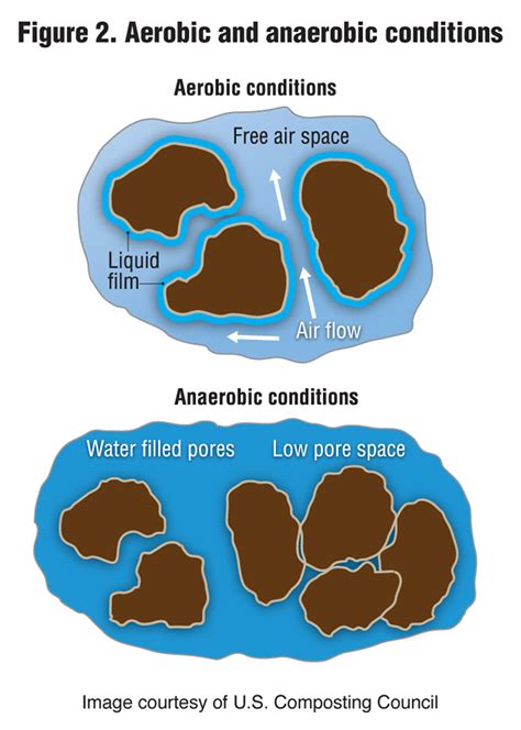 Aerobic Composting And Anaerobic Digestion | BioCycle