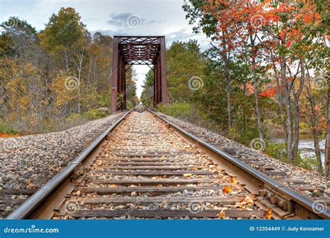 Train tracks and bridge stock image. Image of iron, forest - 12354449