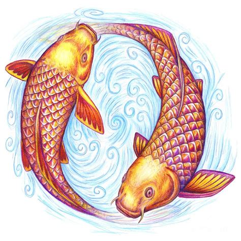 Pisces Fish Drawings