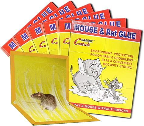 Mouse & Rat Sticky Board – Laherson