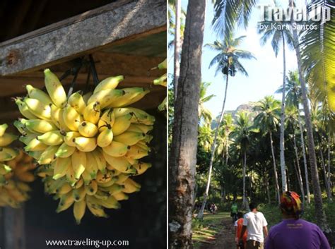 Hiking up Bongao Peak, Tawi-Tawi | Travel Up