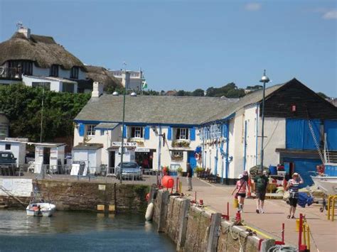 Harbour Lights, Paignton - Restaurant Reviews & Photos - TripAdvisor