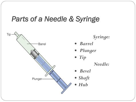 Parts Of A Needle And Syringe