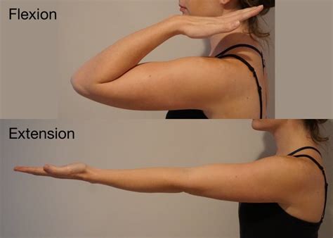 flexion-extension - Shoulder & Elbow