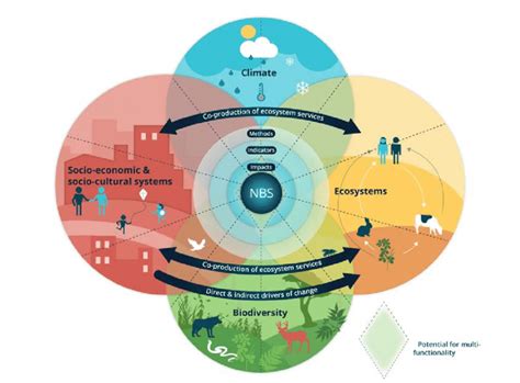 Framework illustrating the relationships among elements of biophysical ...