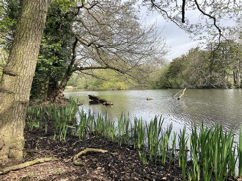 Meet the rewilders: Allestree | Rewilding Britain