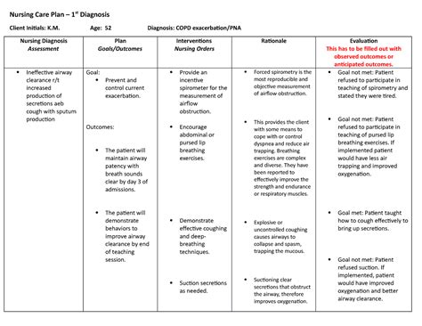 COPD Nursing CARE PLAN - Nursing Care Plan – 1st Diagnosis Client ...