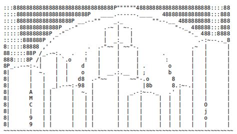 Ascii Meme Art