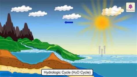 Water Cycle Explanation & 3D Animation For Kids | Science For Kids ...