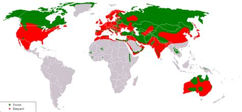 Abe's Animals: Range maps of the gray wolf and the subspecies