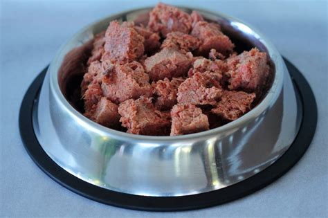 The 16 Best Raw Meat Dog Food Suppliers You Need To See