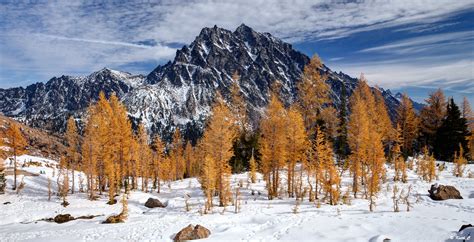 Autumn in Mount Stuart, Washington | [1600x819] by keithc1234 : r/EarthPorn