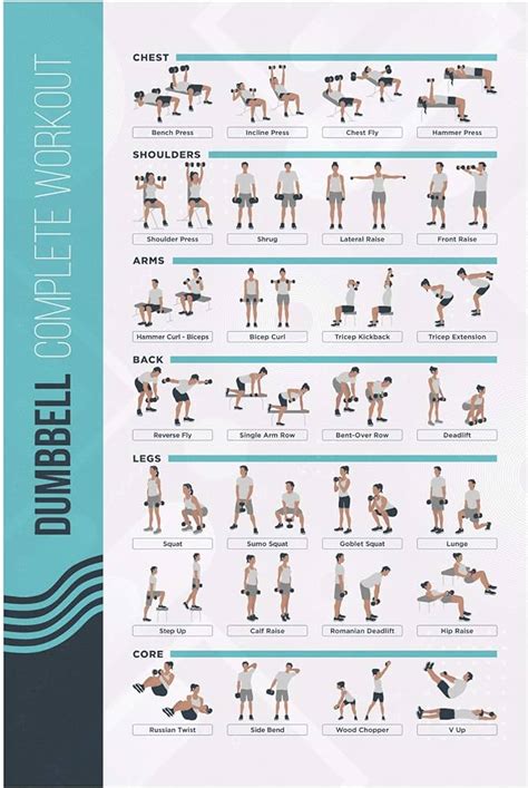 Palace Learning Dumbbell Workout Exercise Poster Ubuy Nepal | lupon.gov.ph