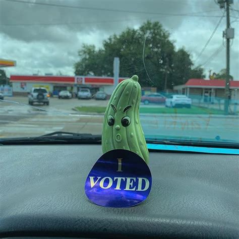 Angry pickle wants to know why only 18 people have voted in my district ...