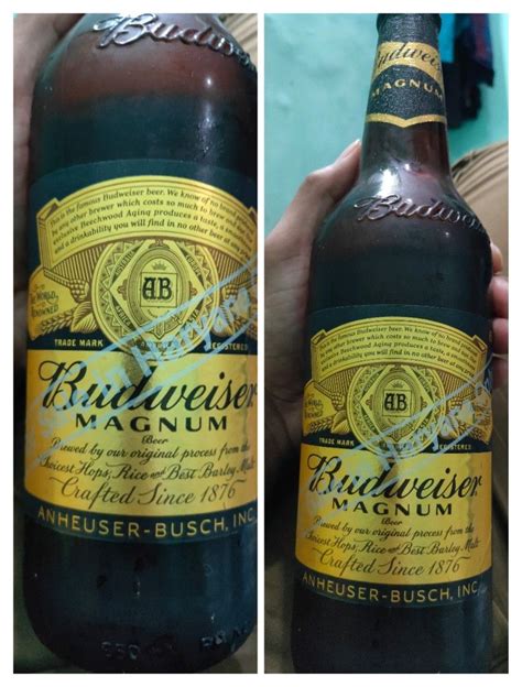 Budweiser 🍻 #budweiser #magnum #beer | Wine bottle, Beer, Bottle