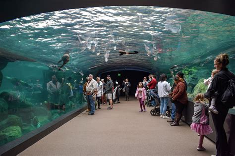 Houston Zoo opens first-of-its-kind Galápagos Islands exhibit