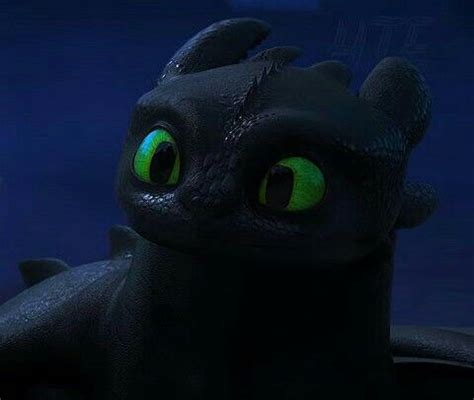 Httyd the hidden world Toothless ^-^ Hiccup And Toothless, Toothless ...