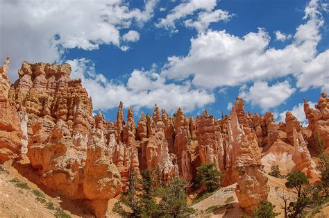 Hoodoo Landscapes of Bryce Canyon Photograph by Bob Cuthbert - Fine Art ...