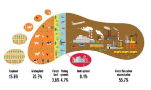 Projects | The Ecological Footprint Initiative