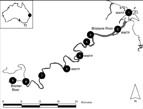 Map of the Brisbane River showing the study sites used for the ...