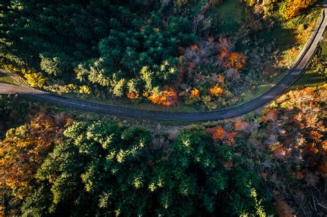 "Forest Road Top View" by Stocksy Contributor "Marco Govel" - Stocksy