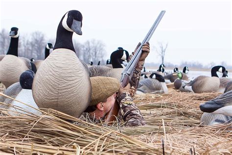 Canada Goose Hunting Outfitters | Heartland Lodge