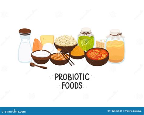 Vector Probiotic Foods. Best Sources of Probiotics. Beneficial Bacteria ...