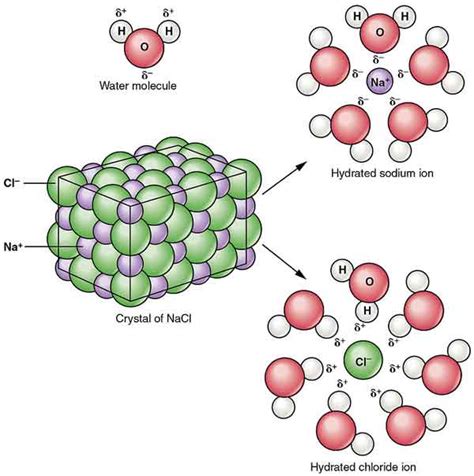 Sodium Chloride Properties || Is sodium chloride good for you?