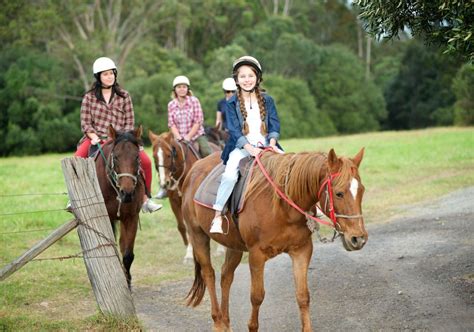 Horse Riding in Sydney - Horseback Riding & Trail Riding