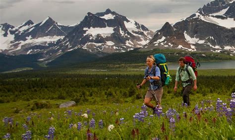 Summer camping reservations with Parks Canada are now open — and ...