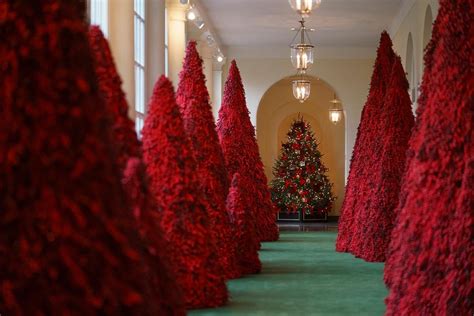 Melania Trump unveils White House Christmas decorations | WTTE