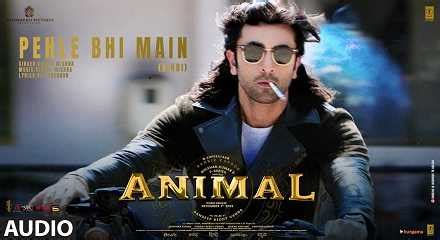 Pehle Bhi Main Lyrics Meaning in English – Animal