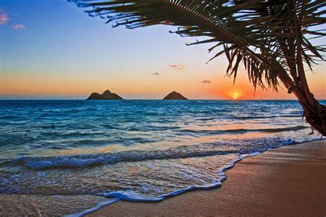 15 Best Beaches in Oahu - The Crazy Tourist