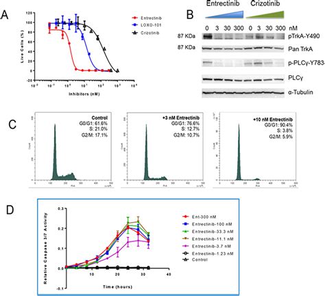 Identification and characterization of a novel SCYL3-NTRK1 ...