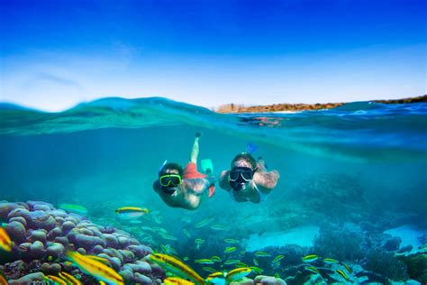 Snorkeling Tips For Beginners From Experienced Guides | Sandals