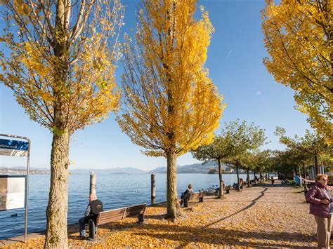 Lake Zurich – Nature and Recreation by the Water | Lake zurich, Zurich ...